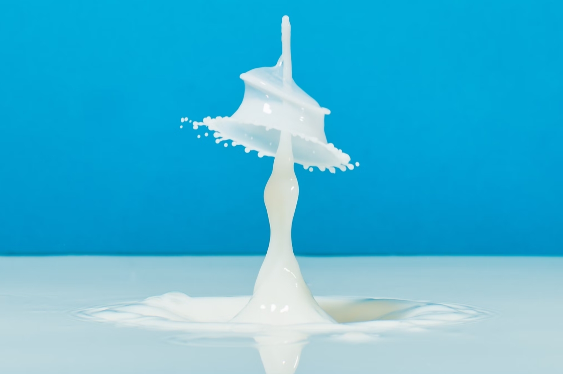 This dairy product technology exhibition combines comprehensiveness