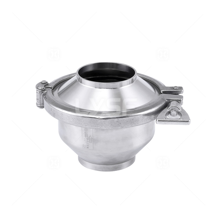 Welded check valve