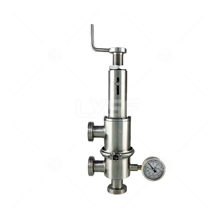 Carbon dioxide pressure maintaining valve